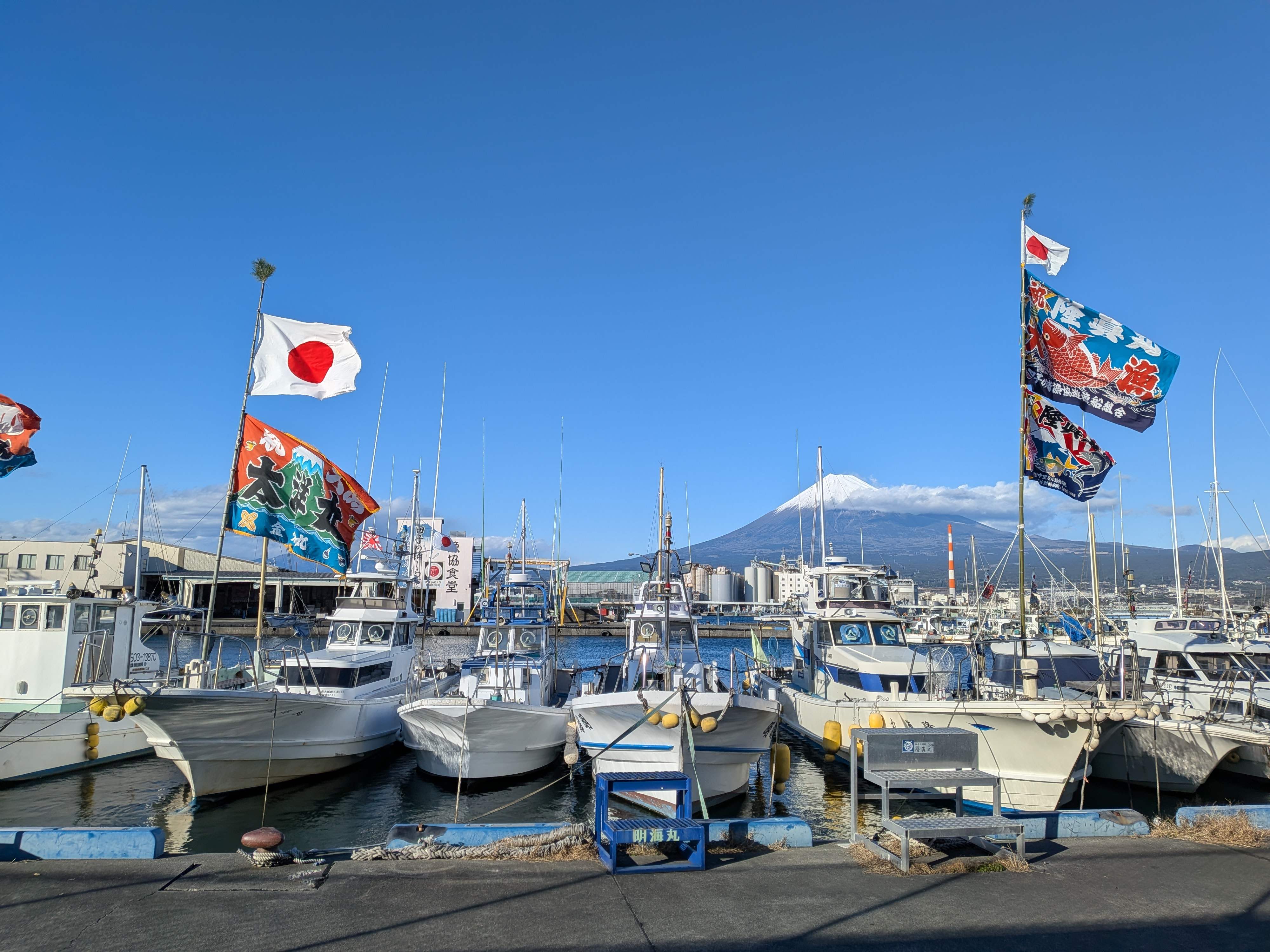 お正月は大漁旗で着飾った漁船をよく見る