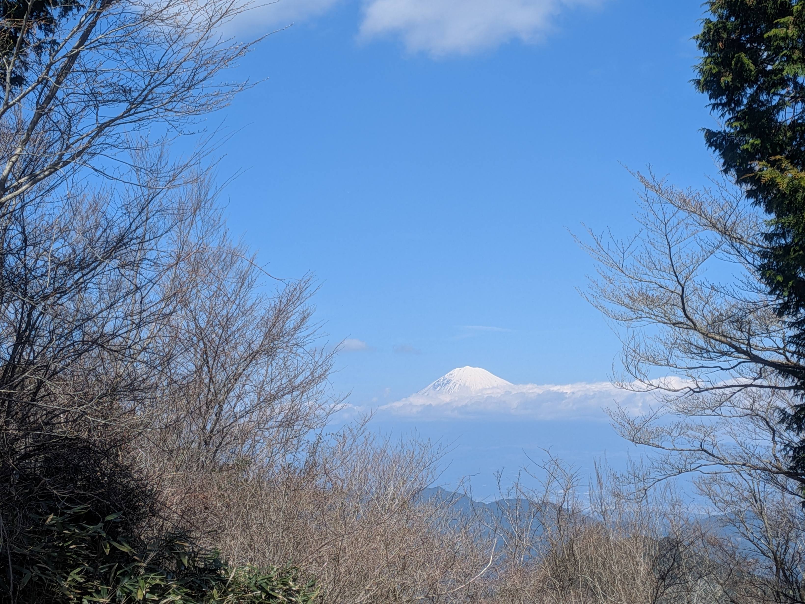リクエストの竜爪山へ行くと、昼過ぎても綺麗な富士山が見えてた